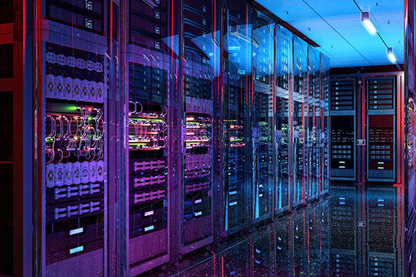 Computing & Information Technology (IT)